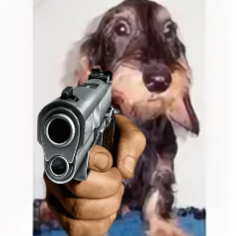 Создать мем: walter dog, рука пистолет, собачки
