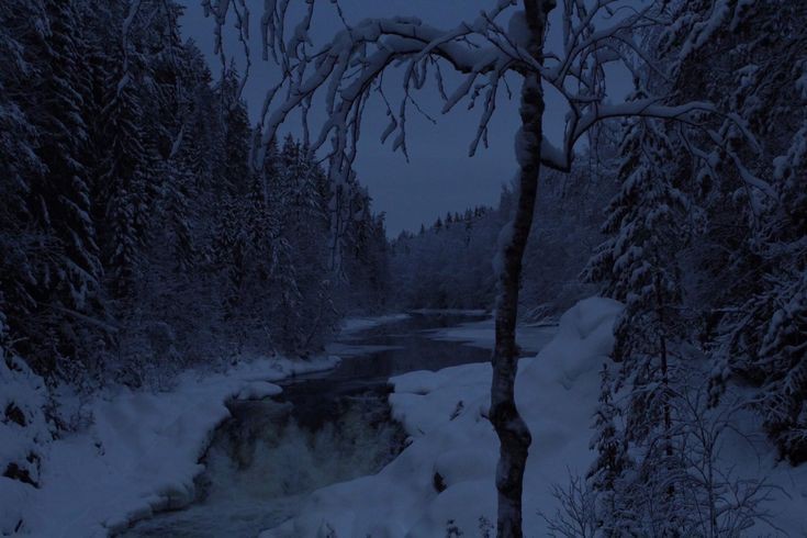 Create meme: in the winter forest, Karelia in winter kivach, kivach waterfall in winter