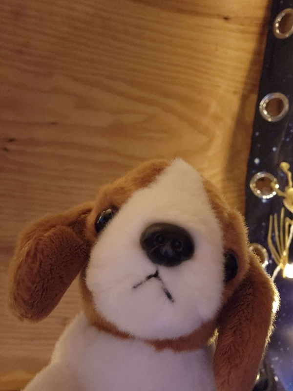 Create meme: toy affectionate puppy, A soft basset toy, soft dog toy