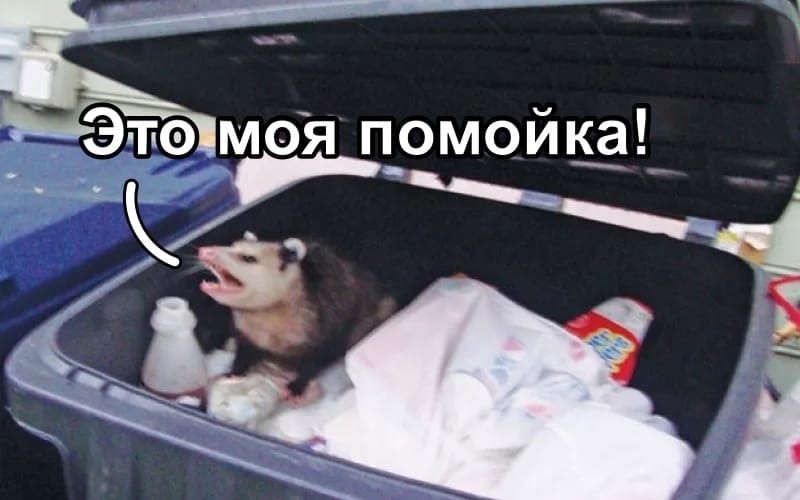 Create meme: don't touch my trash, garbage meme, opossum in the trash