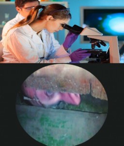 Create meme: science in agriculture, the man with the microscope photo, photo of scientist with microscope