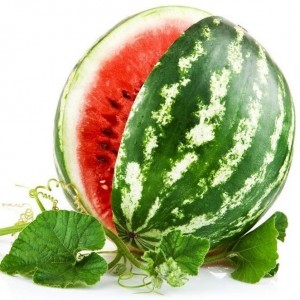 Create meme: watermelon