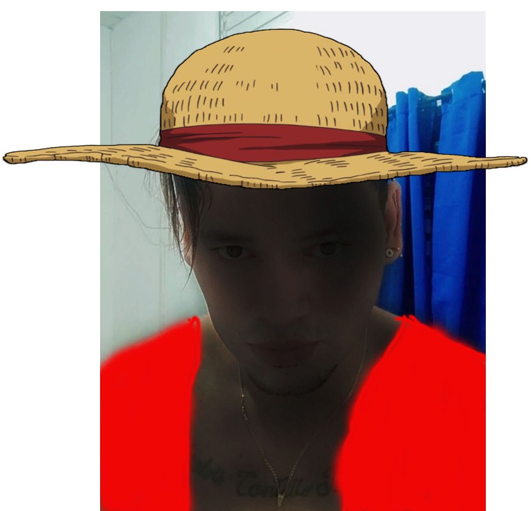 Create meme: people , hat , luffy's hat