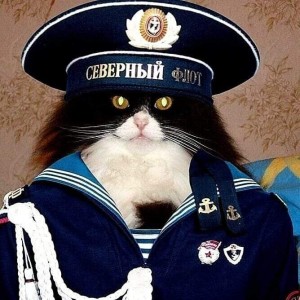 Создать мем: кот в фуражке, котик в фуражке отдает честь, кот в морской форме