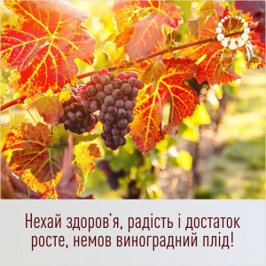 Создать мем: виноградник, природа, осень виноградники изабелла