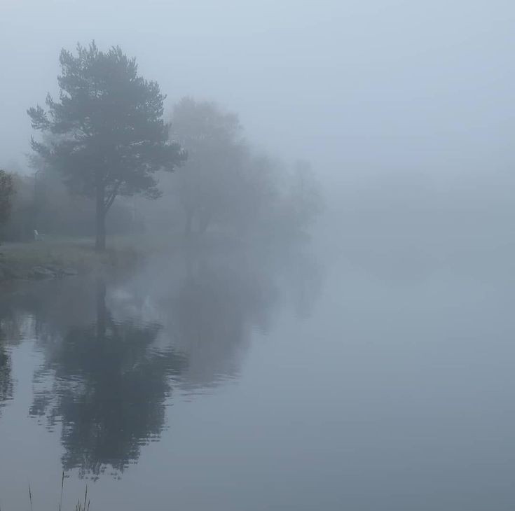 Создать мем: туман на воде, туман туман, природа туман