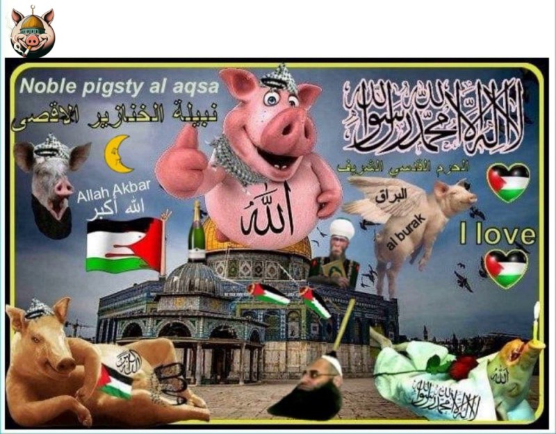 Create meme: pigs are big, pigs, pig haram