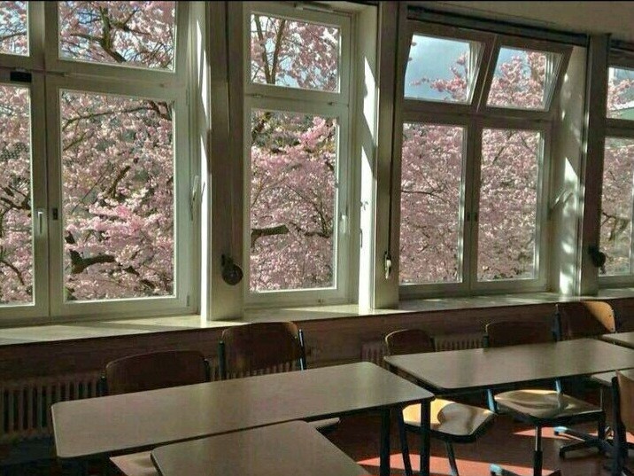 Создать мем: школа пустой класс, вид из окна, меловая доска