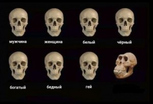 Create meme: skull, skull black, skull