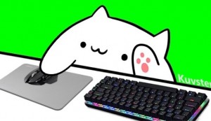 Создать мем: bongo cat cam v3, bongo cat obs, bongo cat cam v2