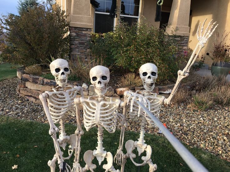 Create meme: Scary skeletons, skeletons skeletons, the skeleton is funny