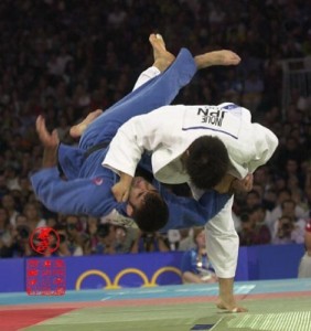 Create meme: pictures judo wings, judo throws, beautiful judo throws pictures