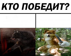 Создать мем: волк мем, ауф мем волк, волк победитель мем