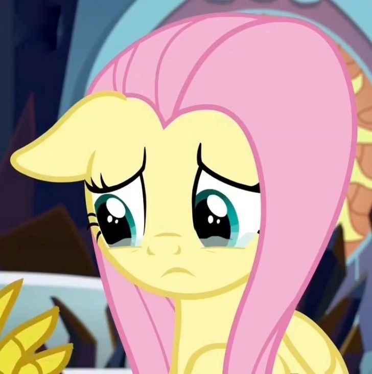 Create meme: fluttershy , fluttershy pony , fluttershy pony sad