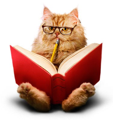 Create meme: scientist cat, cat smart , a cat with knowledge glasses