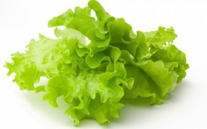 Create meme: lettuce