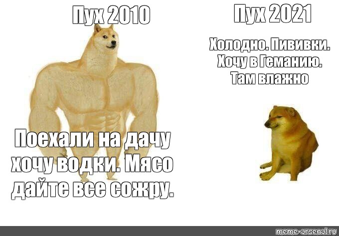 Там влажный. Все мясо дома сожрал Мем. Все мясо в доме сожрал Мем. Muscular Doge meme.