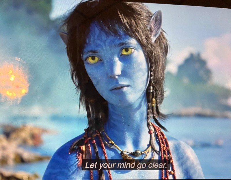 Create meme: Avatar 2 Grace's daughter, neytiri avatar, Avatar 2 of Cyrus