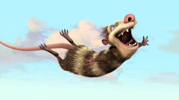 Create meme: the possum from ice age, Ice age possum, Ice Age 2 possums