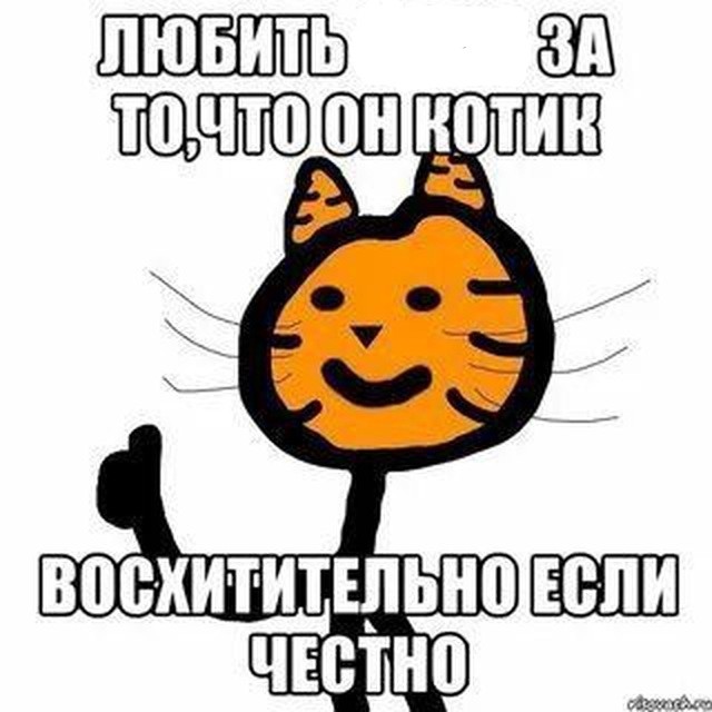 Create meme: meme cat , memes without the Mat, memes 