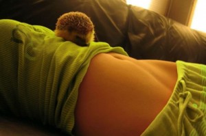 Создать мем: belly, девушка и, hedgehog