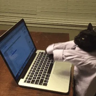 Создать мем: котики компьютер, коты за компом, кот с ноутбуком
