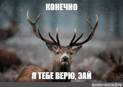 Да дорогая. Олень я тебе верю.