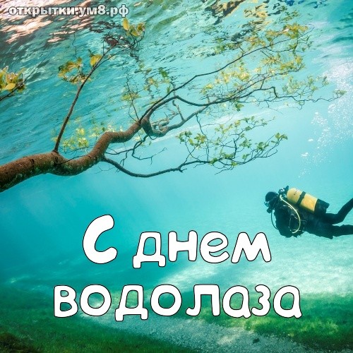 Создать мем: водолаз, день водолаза в россии, с днем рождения водолаз