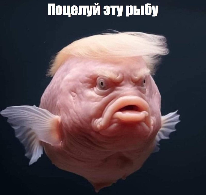 Create meme: blobfish fish, fish , sad fish