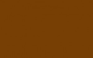 Создать мем: ral 8014 коричневый, ral 8001 коричневая охра, ral 8028 terra brown