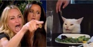 Создать мем: мемы с котом и женщиной, мем орущая баба и кот, бабы и кот мем