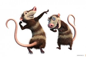 Create meme: possum cartoon, opossum ice age, the possums from ice age we