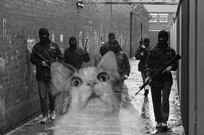 Create meme: ira fighters, irish republican group, The Republican Army of Ireland