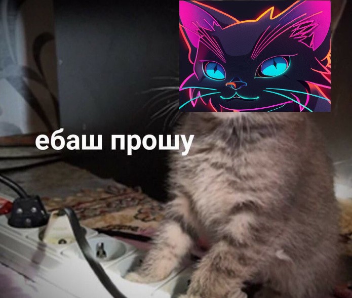 Создать мем: кот стримит, кот, мемы котики