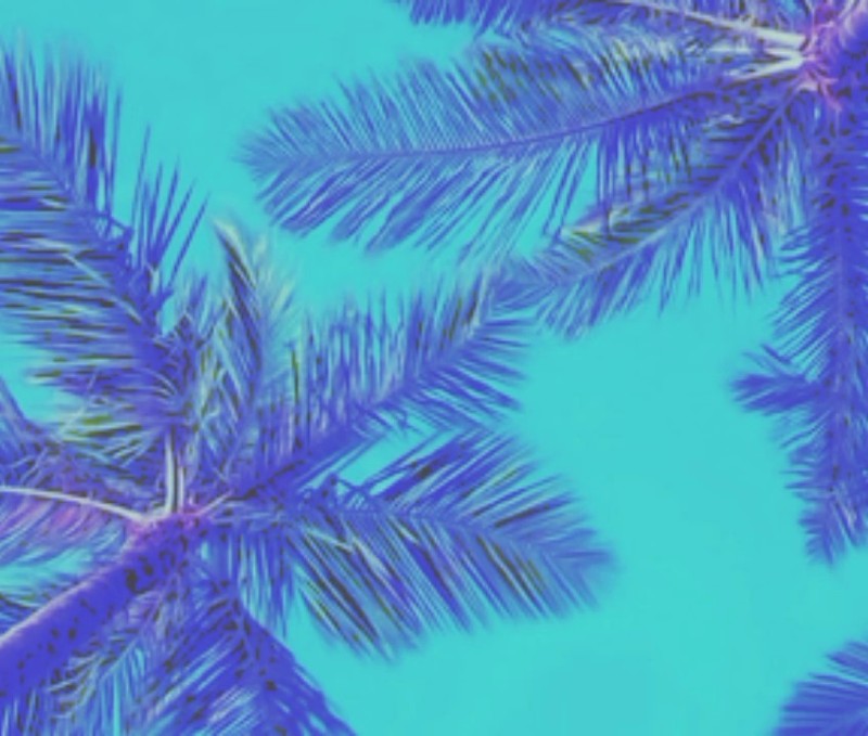 Create meme: purple palm leaves, palm leaves, tropical leaves