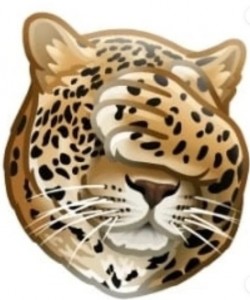 Create meme: cat, leopard, the leopard grin