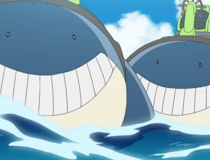 Create meme: pokemon vailmer, pokemon wailmer, wailord pokemon