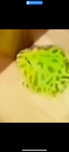 Создать мем: капуста на зелёном фоне, запеченная капуста, лист салата