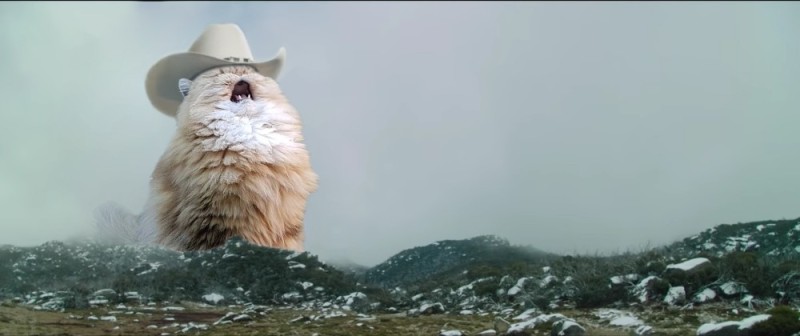 Create meme: screaming cat meme, screaming cat in the hat, the screaming cat