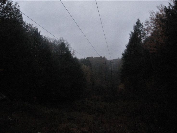 Create meme: glade, power lines, fog forest