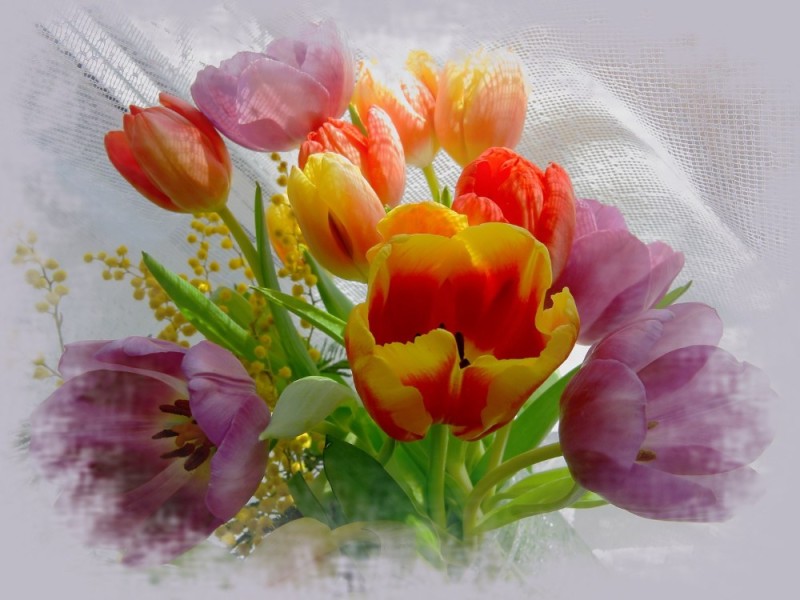 Create meme: happy spring , happy spring holiday postcards, tulips 