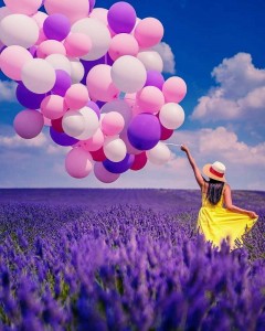 Create meme: balloons, lavender field