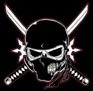 Create meme: the picture is a skull with swords, cool pictures for a clan, ninja skull