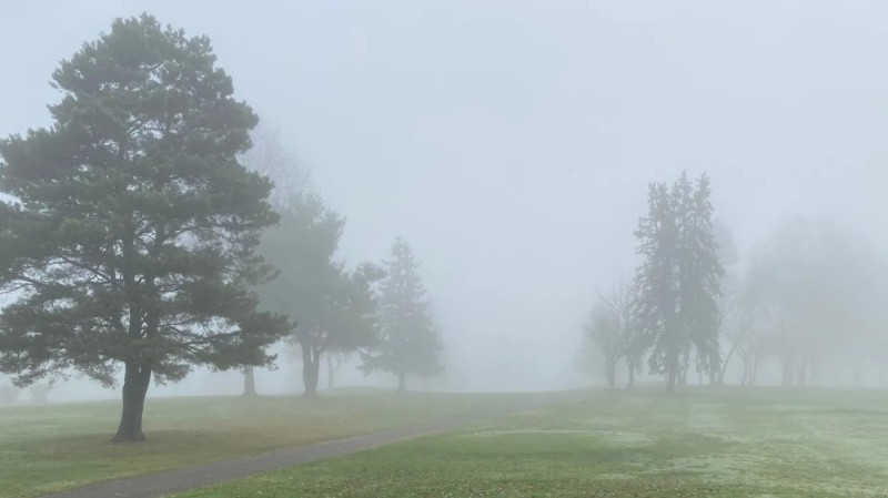 Create meme: Fog fog, nature fog, landscape fog