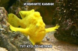 Create meme: frogfish, fish, fish funny