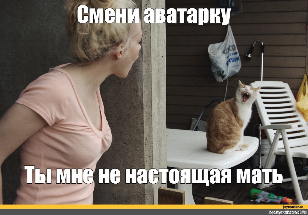 Смени меня. Ты не моя настоящая мать кот. Слезь со стола ты мне не мать. Мама кошка Мем. Настоящая мать.