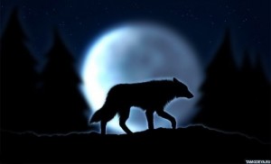Создать мем: волки и оборотни, Волк одиночка, одинокий волк
