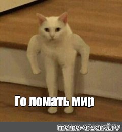 Создать мем: null