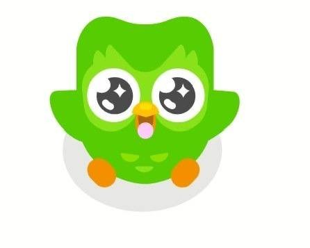 Создать мем: сова из дуолинго, совенок duolingo, значок duolingo