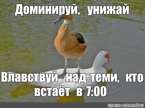 Унижай и властвуй картинка